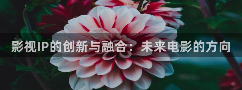 日韩樱桃视频在线观看