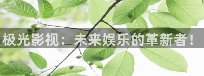 樱桃在线观看电视剧大全播放免费